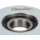 G10_U1P-E_4-4